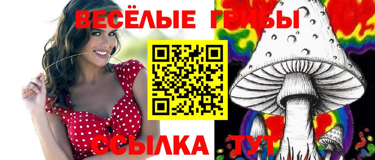 Галлюциногенные грибы Psilocybine cubensis  Псилоцибиновые грибы Cubensis  Вход с VPN  как найти наркотики  Коммунар 