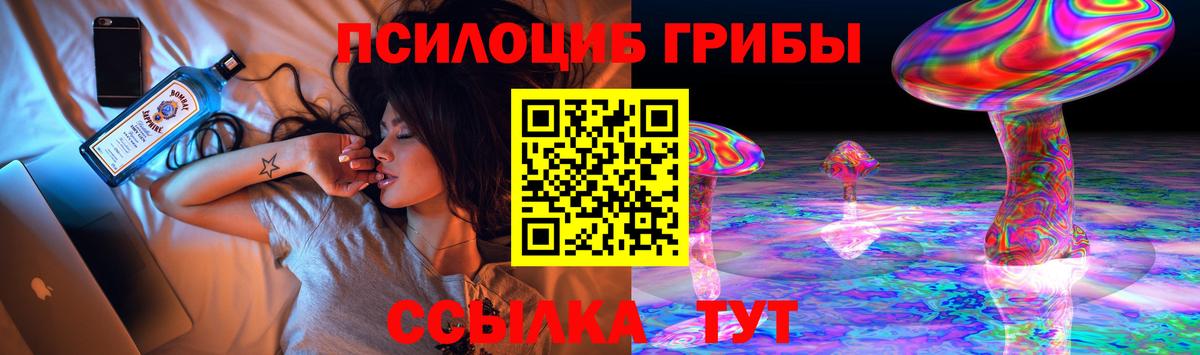 Галлюциногенные грибы Psilocybine cubensis Коммунар